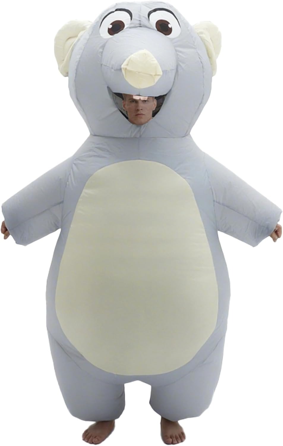 Inflatable Mouse Costume for A - đánh giá và giá Suits
